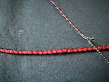 Load image into Gallery viewer, 4ft, 16 plait, Foundation Series Nylon Snake Whip, Black and Red, Side By Side Colours